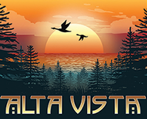 Read more about the article Alta Vista